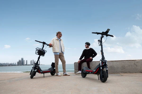Electric Scooters