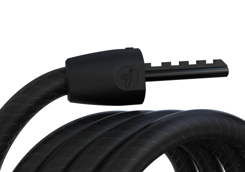Segway-Ninebot password lock