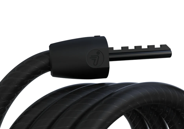 Segway-Ninebot password lock