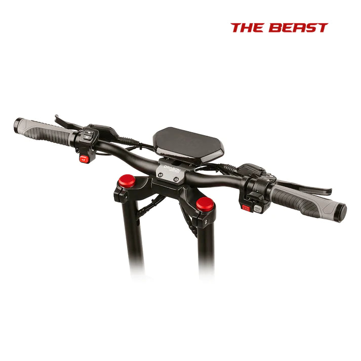 THE BEAST - DUAL MOTOR 3600 watts peak power