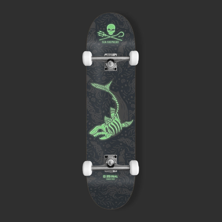 Eternal x Sea Shepherd Complete Skateboard Great White | 8.5"