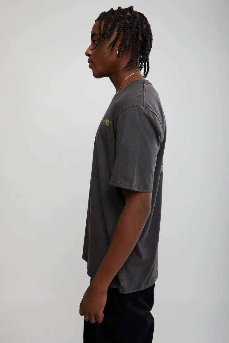 Santa Cruz Dressen Roses Mens Short Sleeve T-shirt Black