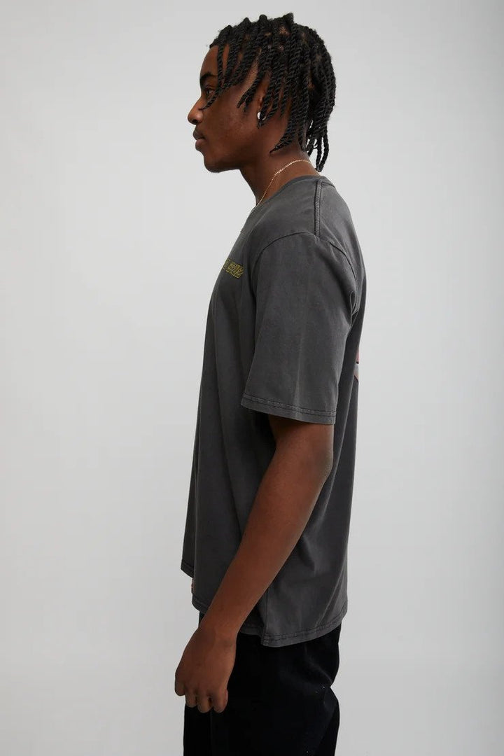 Santa Cruz Dressen Roses Mens Short Sleeve T-shirt Black