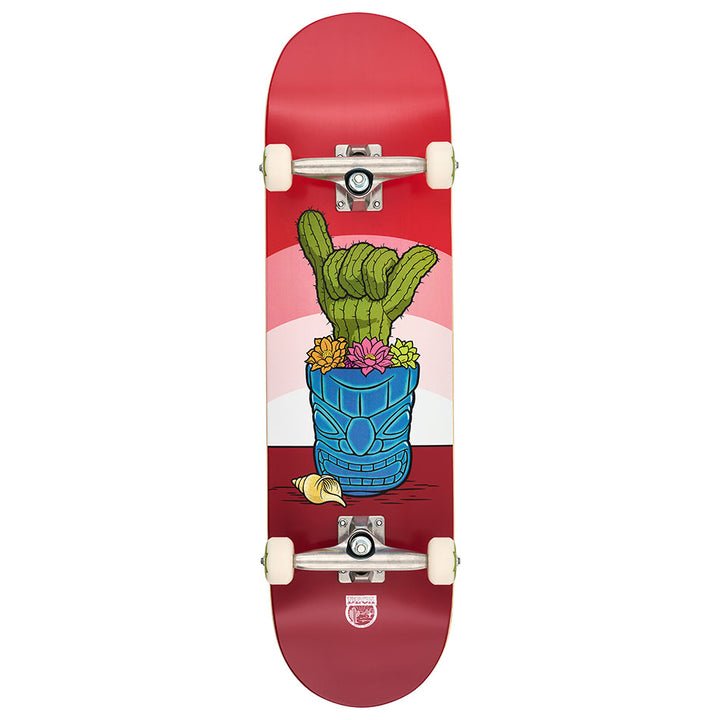 DECA MURPHYS CACTUS LOOKIN SHARP 8.5 COMPLETE SKATEBOARD