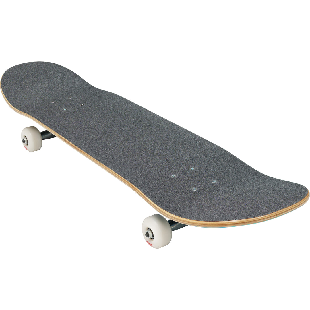 Globe G0 Pond Blue Green 8.0 Complete Skateboard