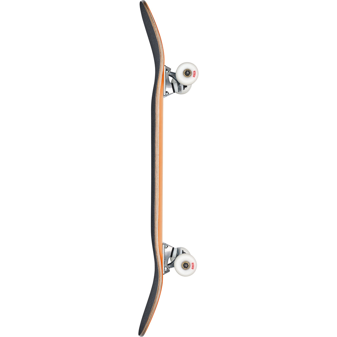 Globe Goodstock Firecracker 8.0 Complete Skateboard