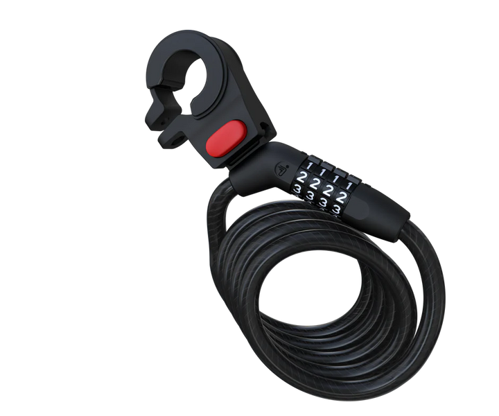 Segway-Ninebot password lock