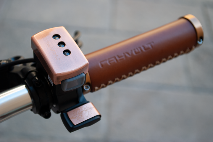 Rayvolt Amabssador Vintage Electric Bike