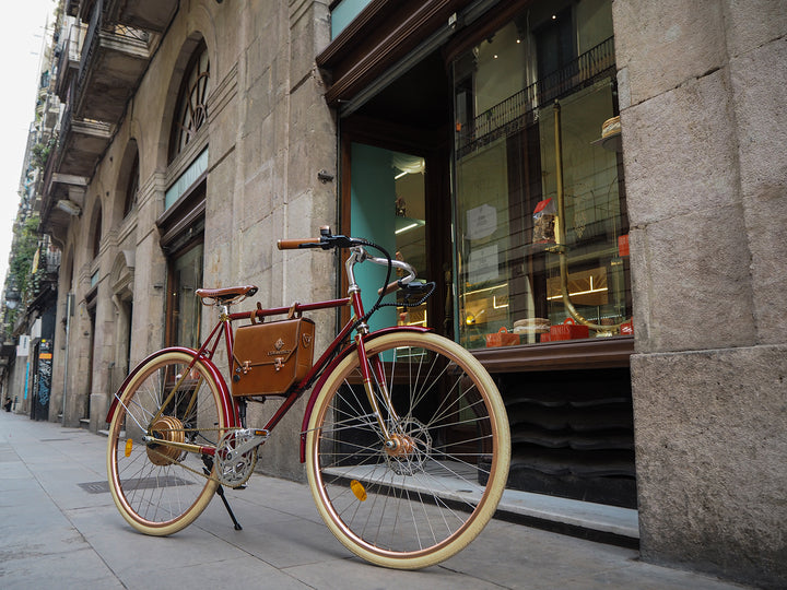 Rayvolt Amabssador Vintage Electric Bike