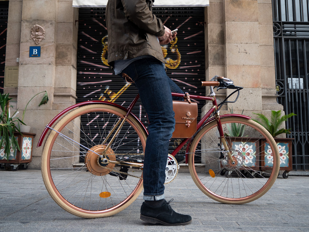 Rayvolt Amabssador Vintage Electric Bike