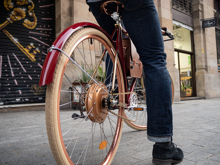 Rayvolt Amabssador Vintage Electric Bike