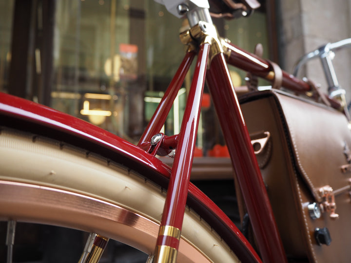 Rayvolt Amabssador Vintage Electric Bike