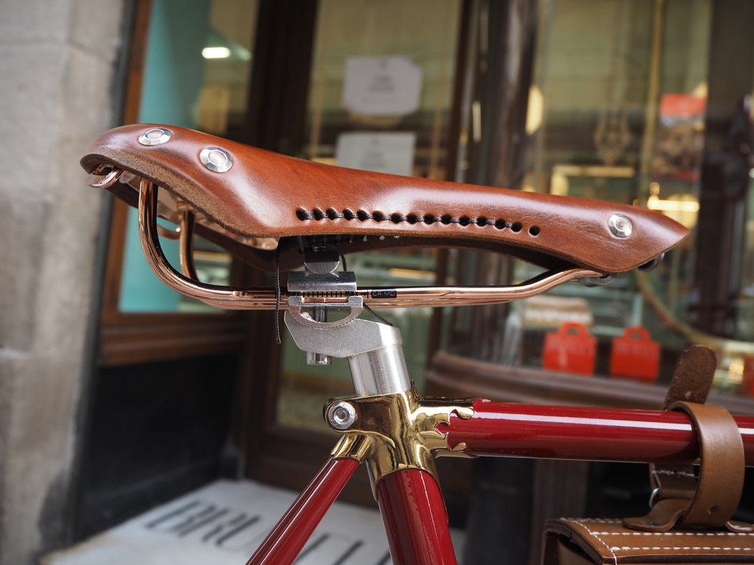 Rayvolt Amabssador Vintage Electric Bike
