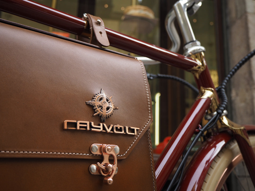 Rayvolt Amabssador Vintage Electric Bike