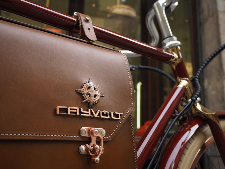 Rayvolt Amabssador Vintage Electric Bike