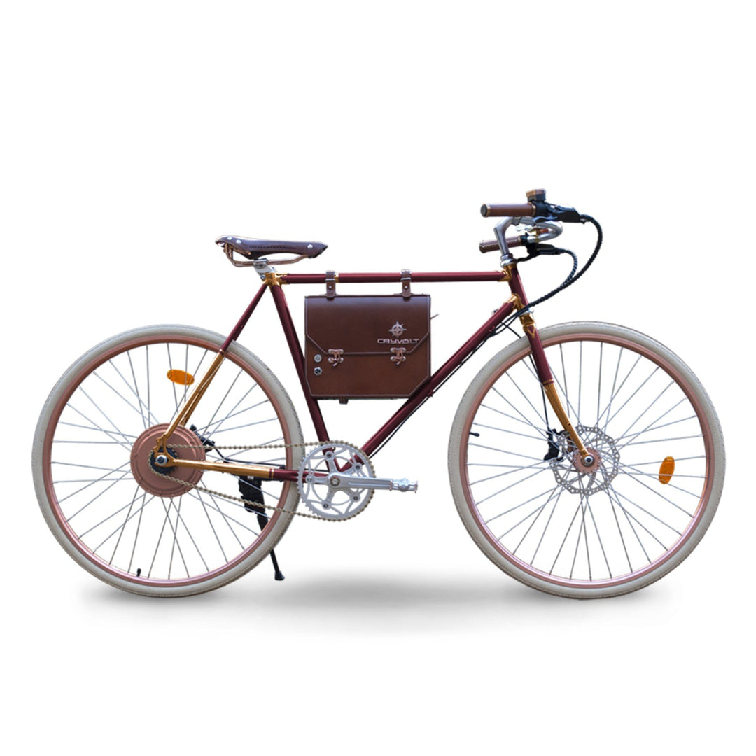 Rayvolt Amabssador Vintage Electric Bike