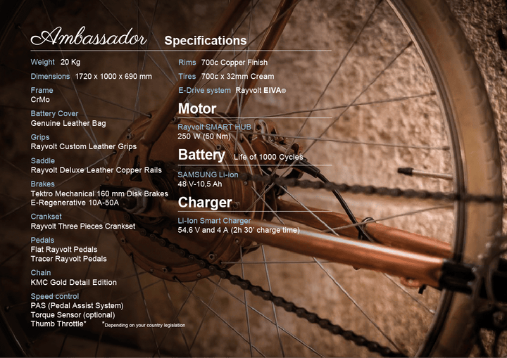Rayvolt Amabssador Vintage Electric Bike